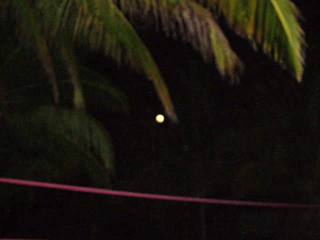 DSCF2412.JPG