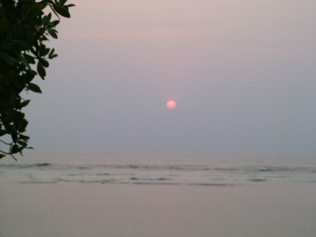 DSCF2414.JPG