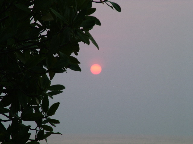 DSCF2415.JPG
