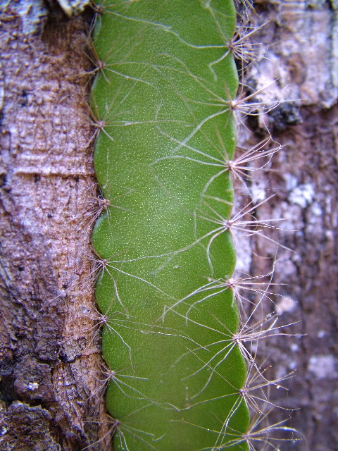 DSCF2024.JPG