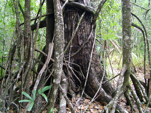 DSCF2025.JPG