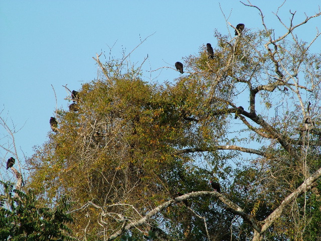 DSCF2038.JPG