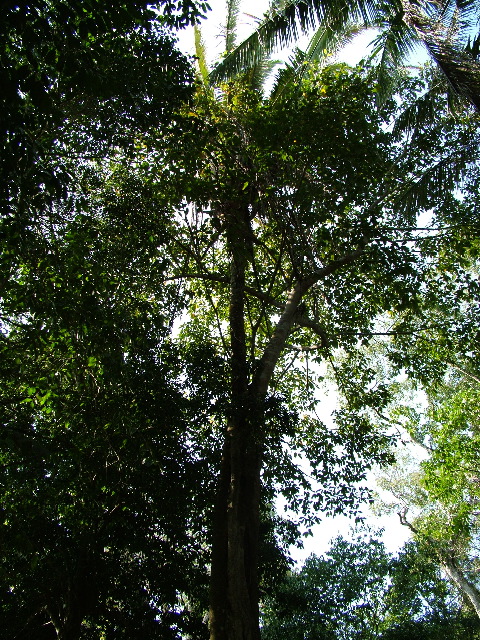 DSCF2042.JPG