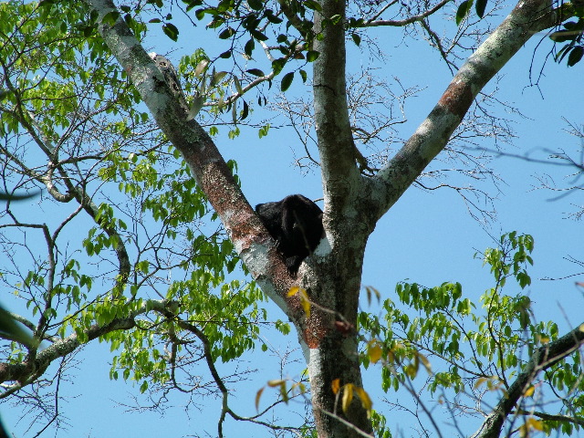 DSCF2053.JPG