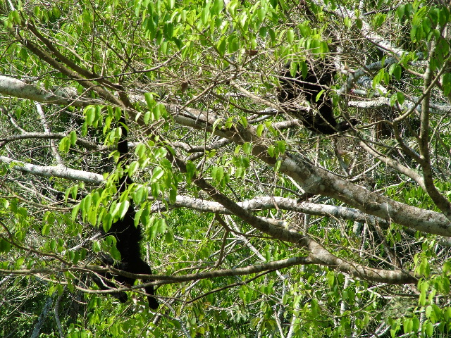DSCF2055.JPG