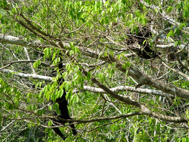 DSCF2056.JPG