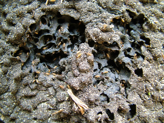 DSCF2077.JPG