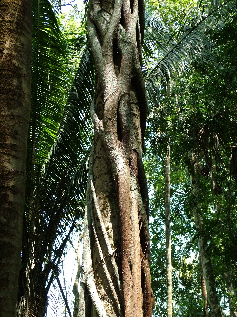 DSCF2081.JPG