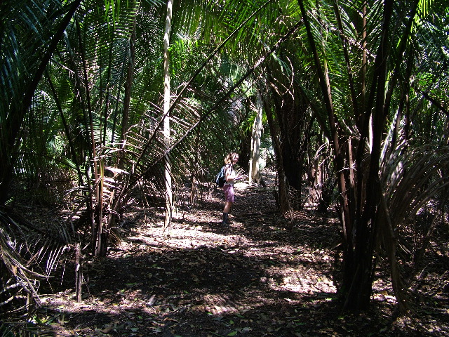 DSCF2083.JPG