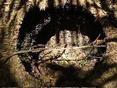 DSCF2084.JPG