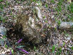 DSCF2085.JPG