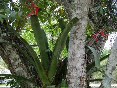 DSCF2090.JPG