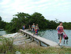 DSCF2093.JPG