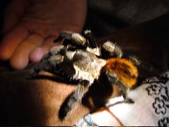 DSCF2098.JPG