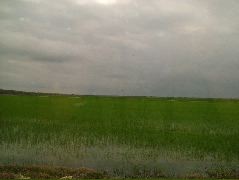 DSCF2100.JPG