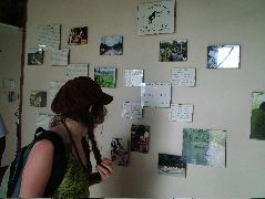 DSCF2103.JPG