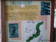 DSCF2105.JPG
