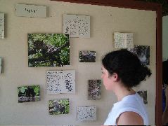DSCF2108.JPG