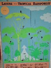 DSCF2109.JPG