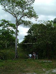 DSCF2114.JPG