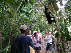 DSCF2115.JPG