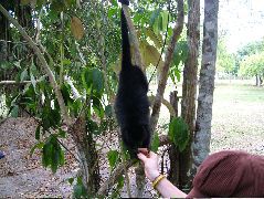 DSCF2118.JPG