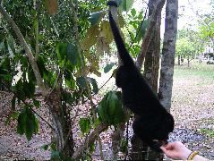 DSCF2120.JPG