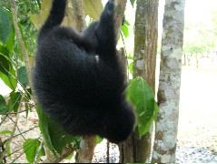 DSCF2121.JPG