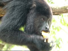 DSCF2128.JPG