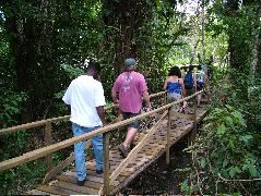 DSCF2135.JPG