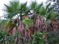 DSCF2141.JPG