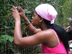 DSCF2146.JPG