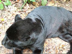 DSCF2151.JPG