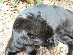 DSCF2152.JPG