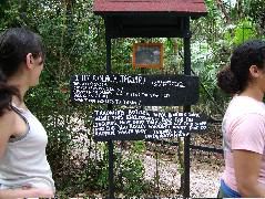 DSCF2157.JPG