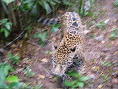 DSCF2161.JPG