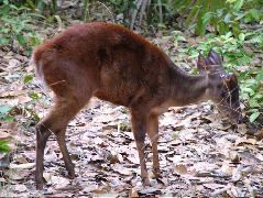 DSCF2167.JPG