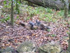 DSCF2168.JPG