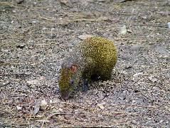 DSCF2170.JPG