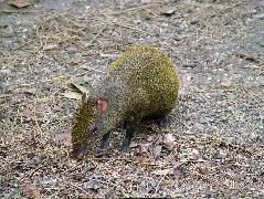 DSCF2171.JPG
