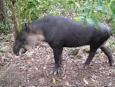 DSCF2174.JPG