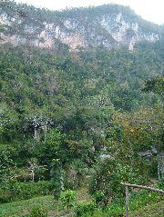 DSCF2192.JPG