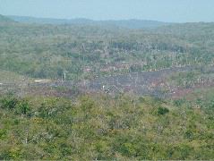 DSCF2221.JPG