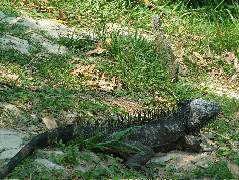 DSCF2238.JPG