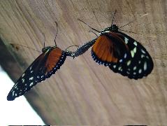 DSCF2254.JPG
