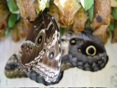 DSCF2263.JPG