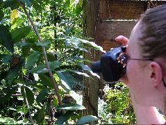 DSCF2267.JPG