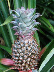 DSCF2288.JPG