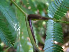 DSCF2293.JPG
