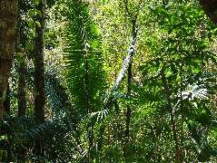 DSCF2300.JPG